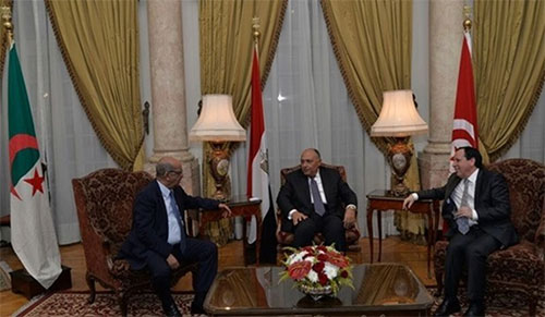 Egipto, Túnez y Argelia, cooperación en la lucha antiterrorista Egipto, Túnez y Argelia, cooperación en la lucha antiterrorista